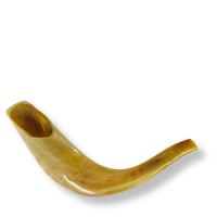 Großes Schofar aus Widderhorn, 29,5 cm