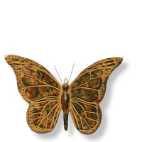 Sehr großer, Plastischer Schmetterling aus Terrakotta, ca. 39 cm breit